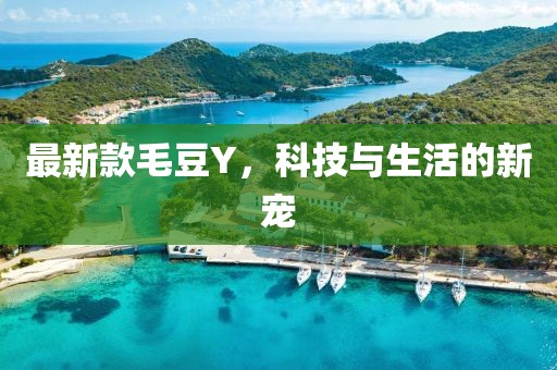 最新款毛豆Y，科技与生活的新宠
