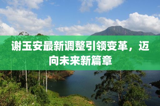 谢玉安最新调整引领变革，迈向未来新篇章
