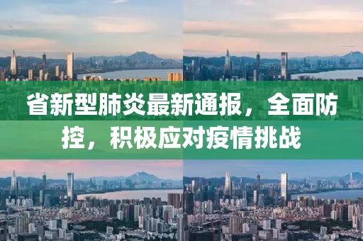 省新型肺炎最新通报，全面防控，积极应对疫情挑战
