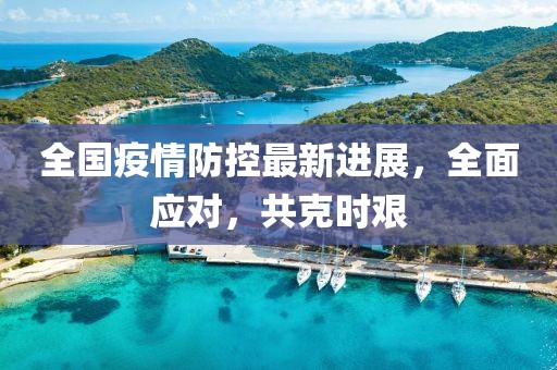 全国疫情防控最新进展，全面应对，共克时艰