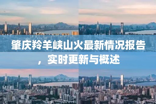 肇庆羚羊峡山火最新情况报告，实时更新与概述