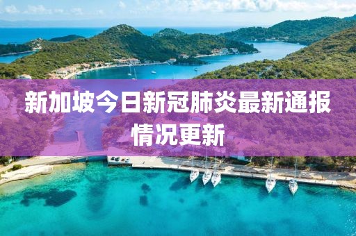 新加坡今日新冠肺炎最新通报情况更新