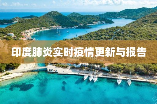 印度肺炎实时疫情更新与报告