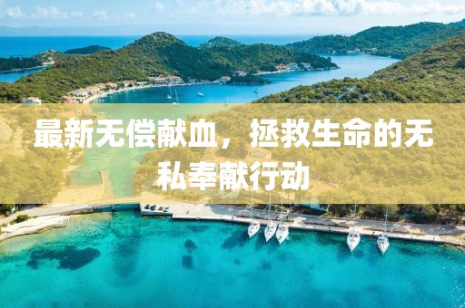 最新无偿献血，拯救生命的无私奉献行动