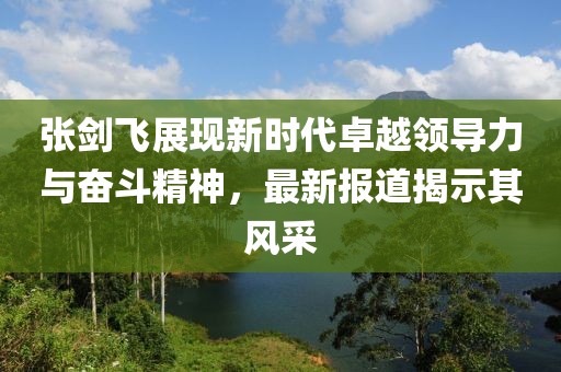 张剑飞展现新时代卓越领导力与奋斗精神，最新报道揭示其风采