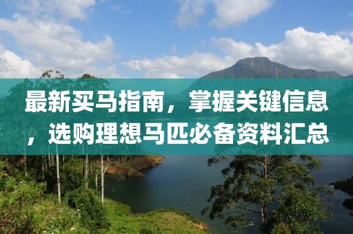最新买马指南，掌握关键信息，选购理想马匹必备资料汇总