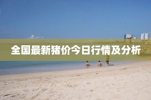 全国最新猪价今日行情及分析