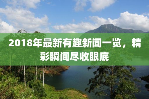 2018年最新有趣新闻一览，精彩瞬间尽收眼底