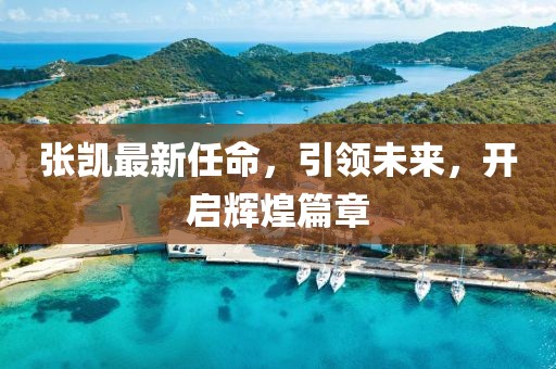 张凯最新任命，引领未来，开启辉煌篇章