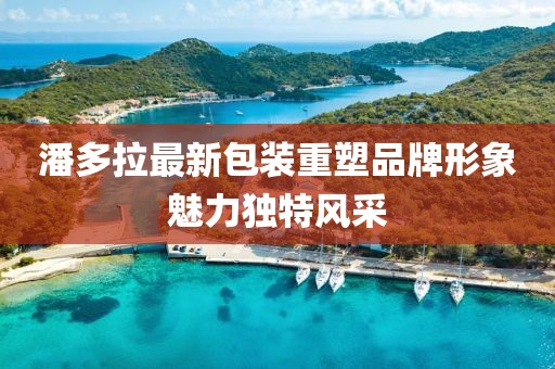 潘多拉最新包装重塑品牌形象魅力独特风采