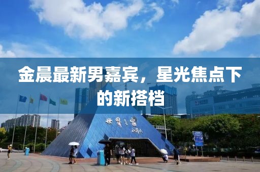 金晨最新男嘉宾，星光焦点下的新搭档