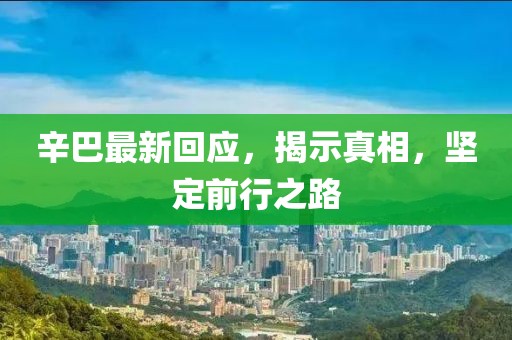 辛巴最新回应，揭示真相，坚定前行之路