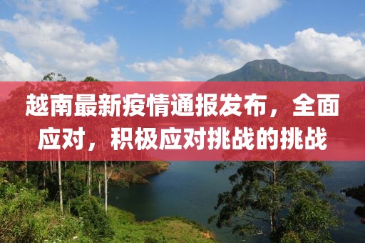 越南最新疫情通报发布，全面应对，积极应对挑战的挑战