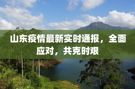 山东疫情最新实时通报，全面应对，共克时艰