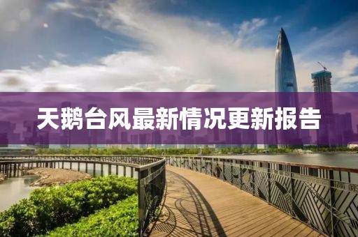 天鹅台风最新情况更新报告
