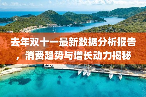 去年双十一最新数据分析报告，消费趋势与增长动力揭秘