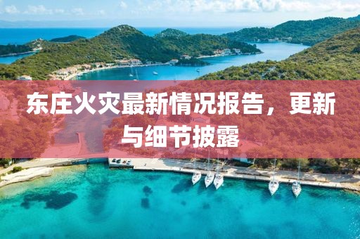 东庄火灾最新情况报告，更新与细节披露