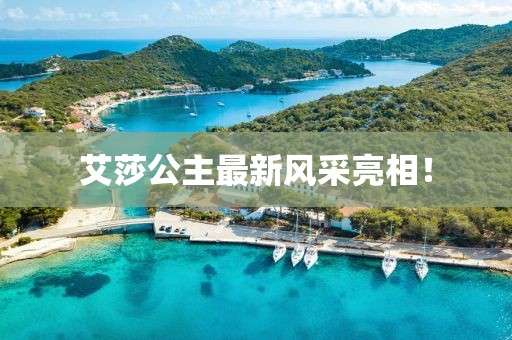 艾莎公主最新风采亮相！