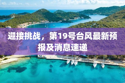 迎接挑战，第19号台风最新预报及消息速递