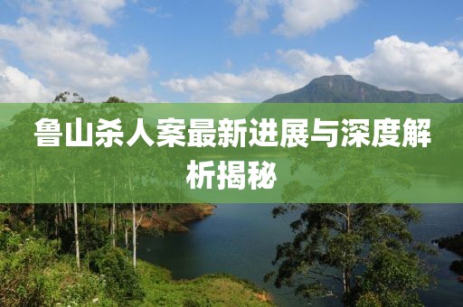 鲁山杀人案最新进展与深度解析揭秘