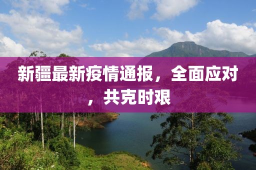 新疆最新疫情通报，全面应对，共克时艰