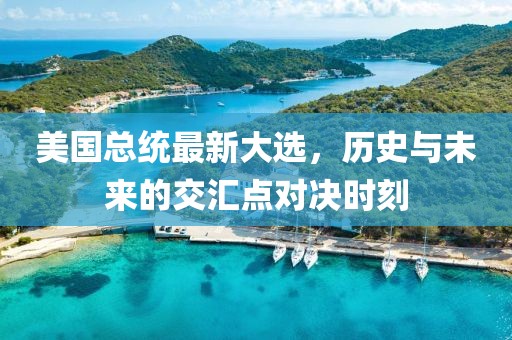 美国总统最新大选，历史与未来的交汇点对决时刻
