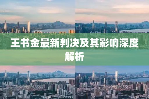 王书金最新判决及其影响深度解析
