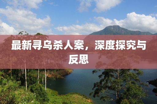 最新寻乌杀人案，深度探究与反思