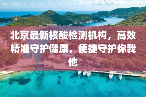 北京最新核酸检测机构，高效精准守护健康，便捷守护你我他