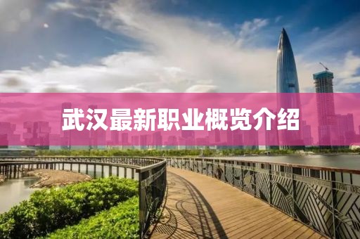 武汉最新职业概览介绍