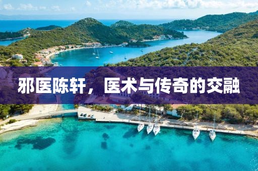 邪医陈轩，医术与传奇的交融
