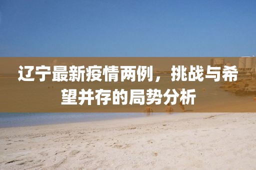 辽宁最新疫情两例，挑战与希望并存的局势分析