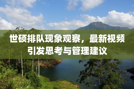 世硕排队现象观察，最新视频引发思考与管理建议