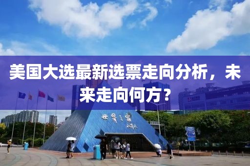 美国大选最新选票走向分析，未来走向何方？