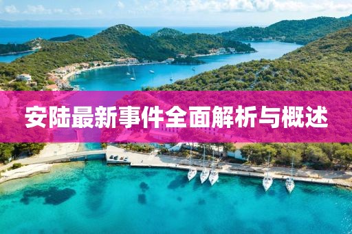 安陆最新事件全面解析与概述