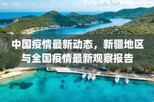 中国疫情最新动态，新疆地区与全国疫情最新观察报告