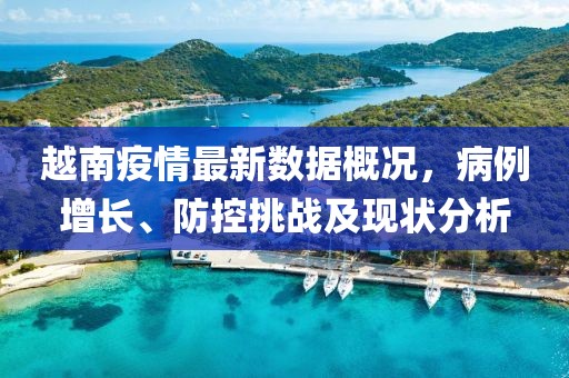 越南疫情最新数据概况，病例增长、防控挑战及现状分析
