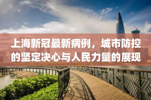 上海新冠最新病例，城市防控的坚定决心与人民力量的展现