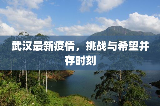 武汉最新疫情，挑战与希望并存时刻