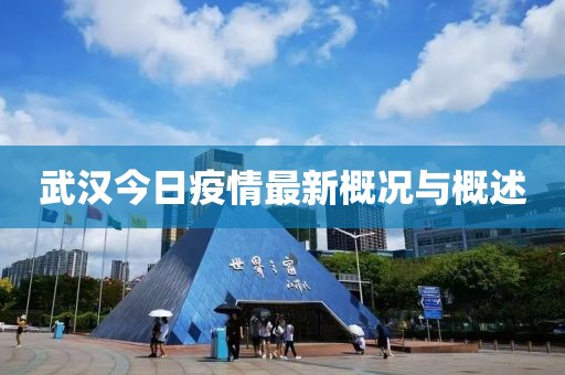 武汉今日疫情最新概况与概述