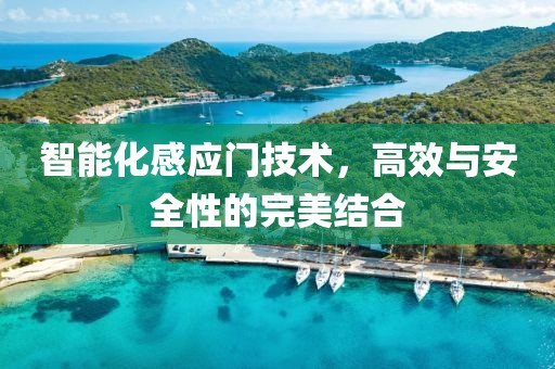 智能化感应门技术，高效与安全性的完美结合