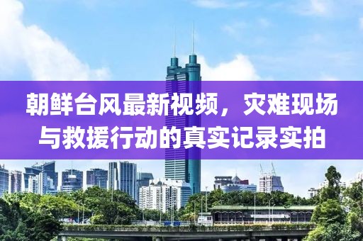 朝鲜台风最新视频，灾难现场与救援行动的真实记录实拍