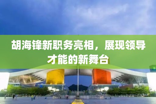 胡海锋新职务亮相，展现领导才能的新舞台