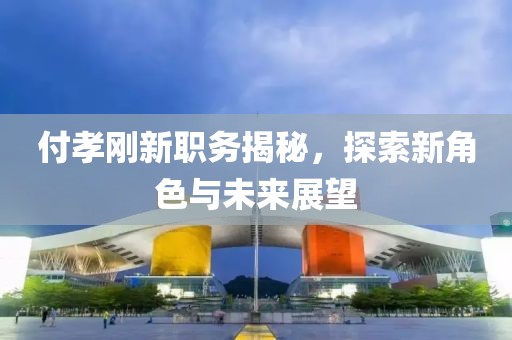 付孝刚新职务揭秘，探索新角色与未来展望