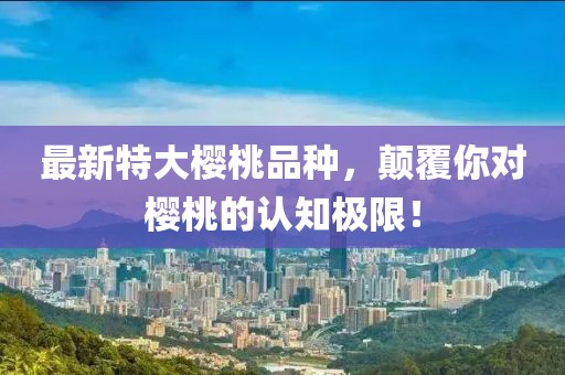 2025年7月31日