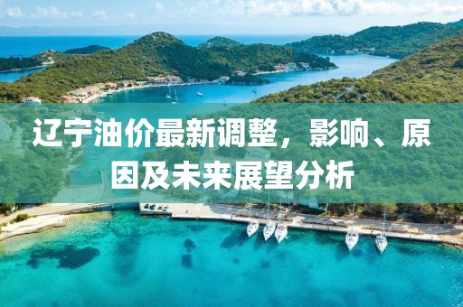 辽宁油价最新调整，影响、原因及未来展望分析