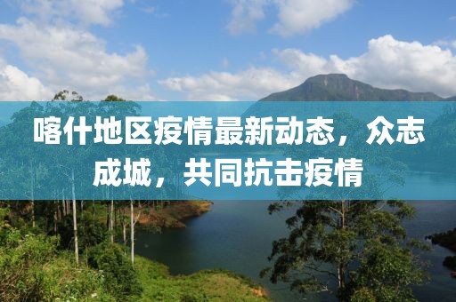 喀什地区疫情最新动态，众志成城，共同抗击疫情