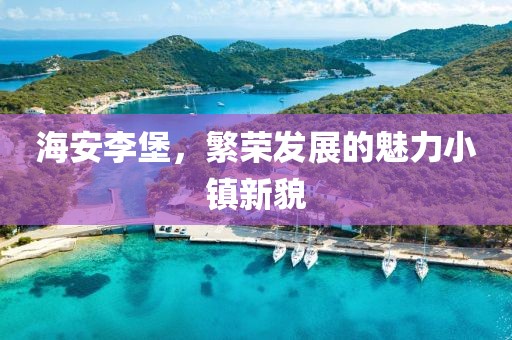 海安李堡，繁荣发展的魅力小镇新貌