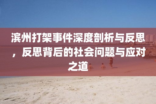 滨州打架事件深度剖析与反思，反思背后的社会问题与应对之道