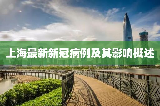 上海最新新冠病例及其影响概述